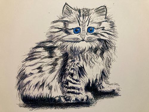 blue-eyed cat.jpg