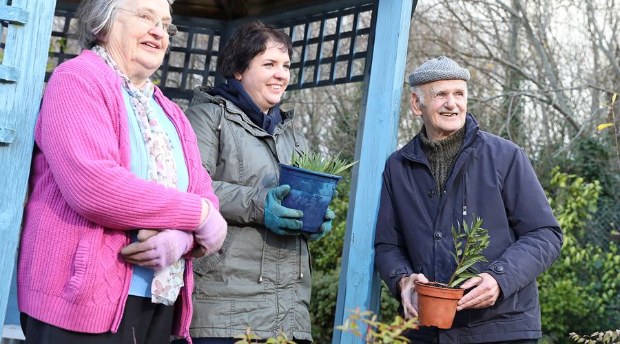 Gardening Volunteer - Belfast