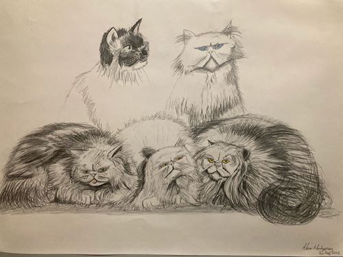 five cats.jpg